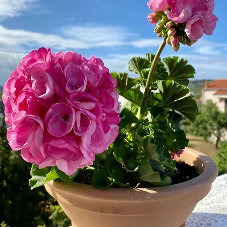 Apartman Bartol Betina (Sibenik-Knin)