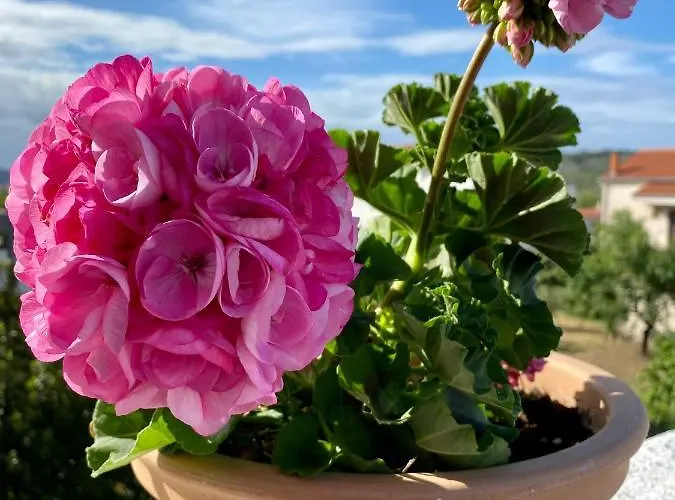 Appartement Bartol Betina (Sibenik-Knin)